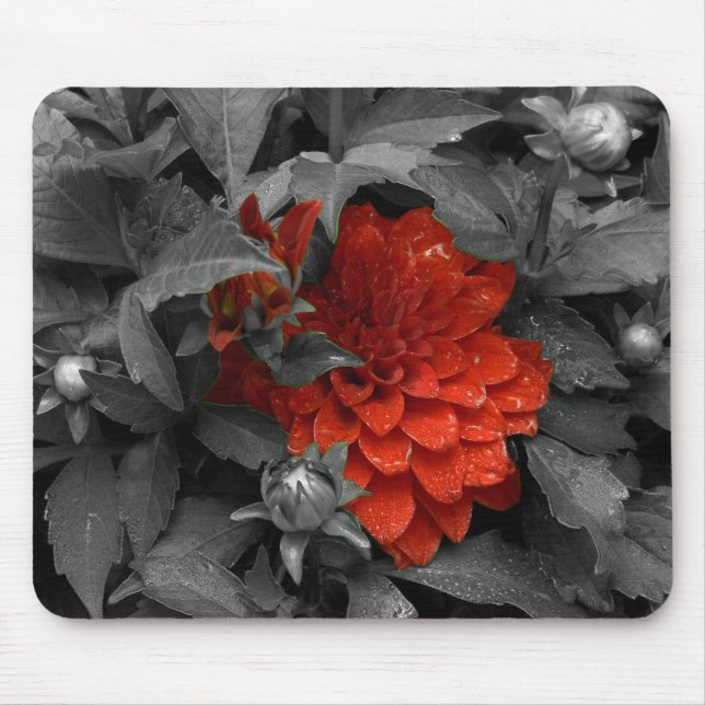 Dahlia-mousepad Mouse Mat (Front)