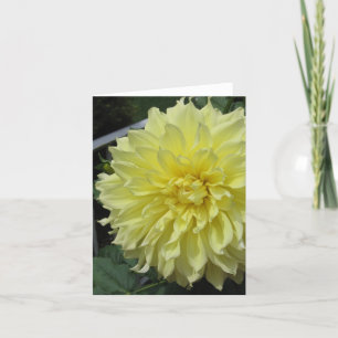 Dahlia Note Card