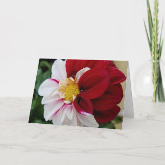 Dahlia Notecards