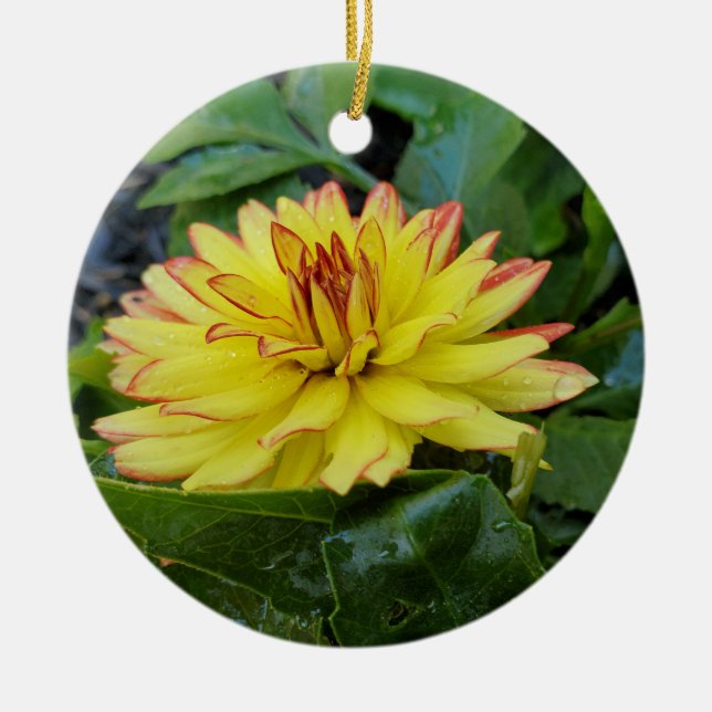 Dahlia ornament (Front)