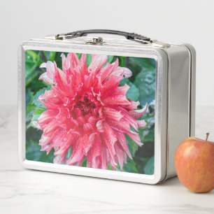 Dahlia Pink Canadian Flower Photography Metal Lunch Box