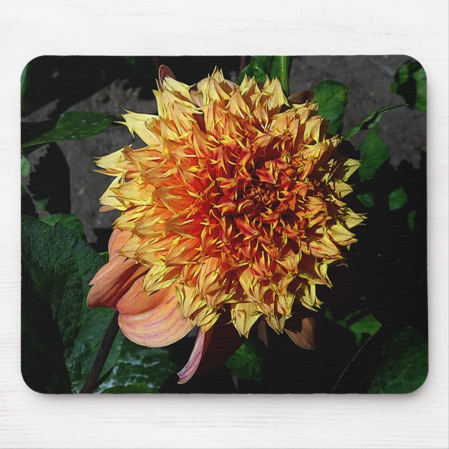 Dahlia Sandia Brocade #1 Mouse Pad (Front)