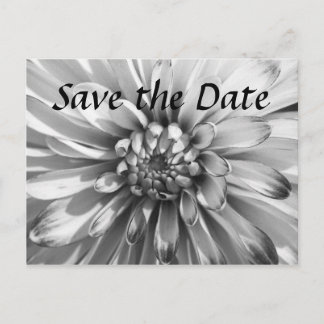 dahlia Save the Date Announcement Postcard