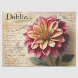 Dahlia Tissue Paper