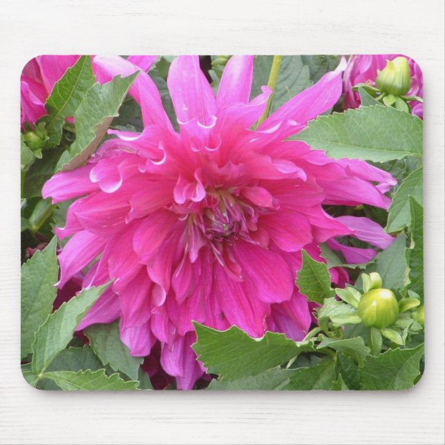 "Dahlia...true colours" Mouse Mat (Front)