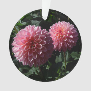 Dahlia Valley Porcupine #1 Ornament