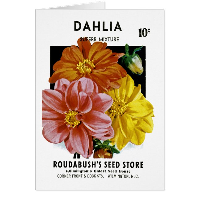 Dahlia Vintage Seed Packet (Front)