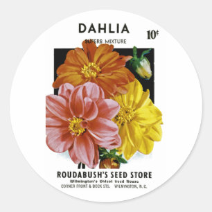 Dahlia Vintage Seed Packet Classic Round Sticker