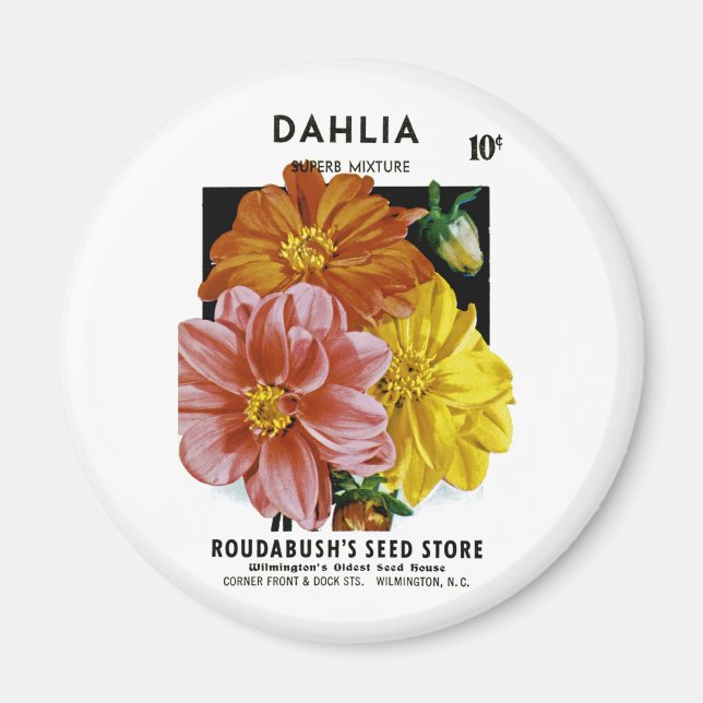 Dahlia Vintage Seed Packet Magnet (Front)