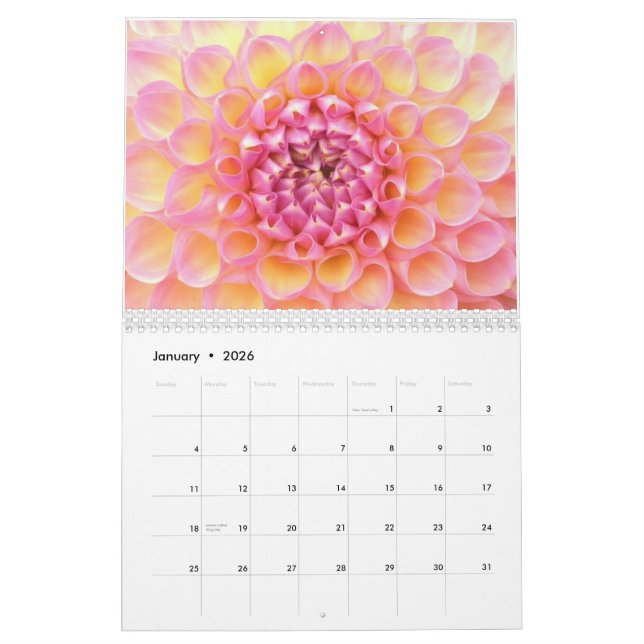 Dahlias 2011 Calendar (Jan 2026)