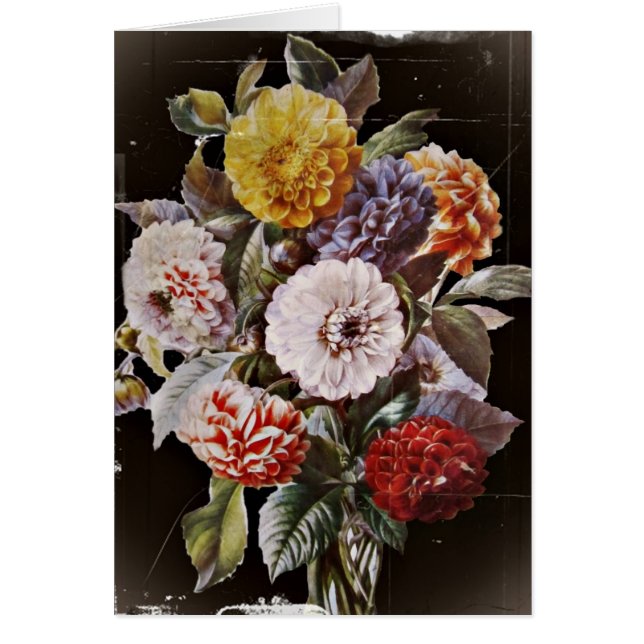 Dahlias Antique Bouquet (Front)