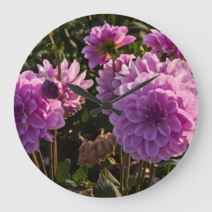 Dahlias, dahlia farm, Canby, Oregon, USA 5 Large Clock