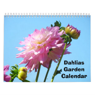 Dahlias Garden Calendar Photography Flowers
