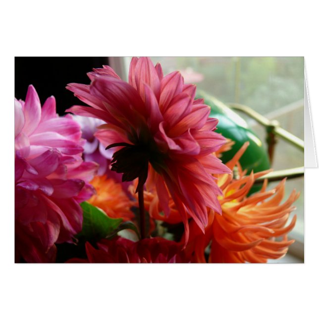 Dahlias (with Lamp) (Front Horizontal)