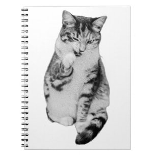Daily Groom Notebook