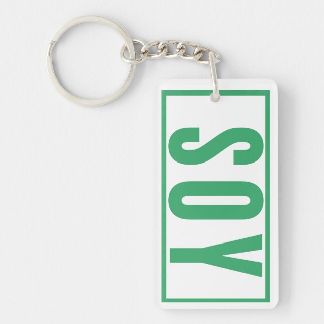 Daily Reminder car keys house keys  Key Ring (Front)