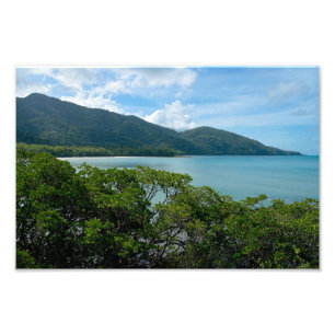 Daintree Rainforest at Cape Tribulation Photo Print
