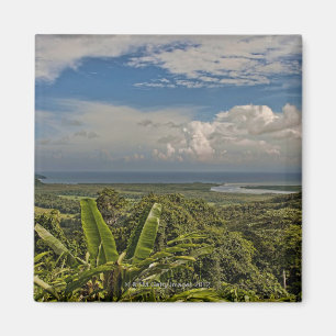 Daintree River in the tropical rainforest of Magnet