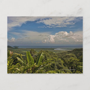 Daintree River in the tropical rainforest of Postcard