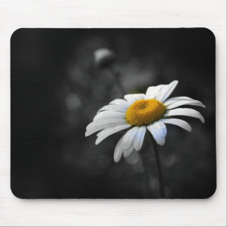 Dainty Daisy Mouse Mat