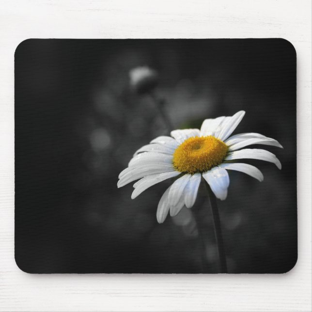 Dainty Daisy Mouse Mat (Front)
