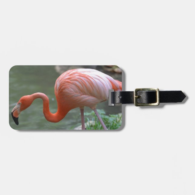 Dainty Flamingo Luggage Tag (Front Horizontal)