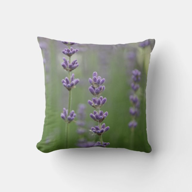 Dainty Lavender Throw Pillow (Front)