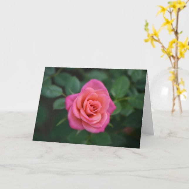 Dainty Pink Rose Note Card (Yellow Flower)