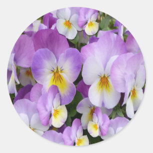 Dainty Violas Classic Round Sticker