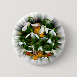 Dainty White Spring Snowdrops 6 Cm Round Badge