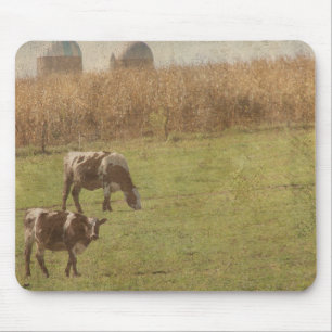 dairy cattle at pasture mouse mat