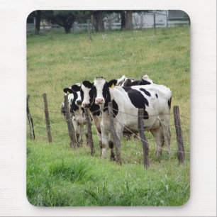 Dairy Cattle Mouse Mat
