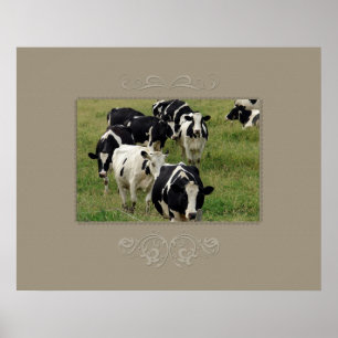 Dairy Cattle Poster