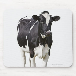 Dairy cow (Bos taurus) on white background Mouse Mat