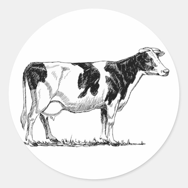 Dairy Cow Holstein Fresian Pencil Drawing Classic Round Sticker (Front)