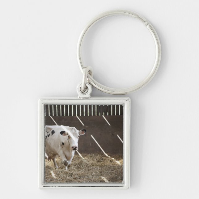 Dairy cow key ring (Front)