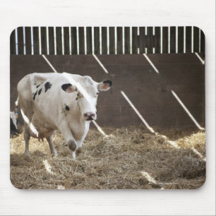 Dairy cow mouse mat