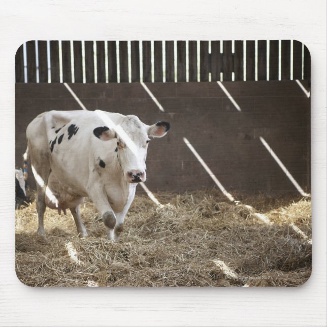 Dairy cow mouse mat (Front)