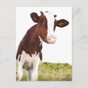 Dairy Cow - Painted Brown & White Holstein Postcard