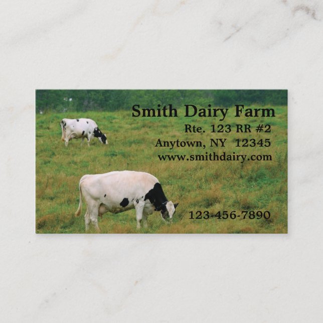 Dairy Cows Business Card (Front)
