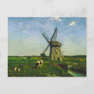 Dairy cows grazing by a windmill postcard
