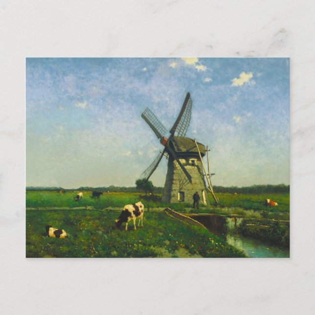 Dairy cows grazing by a windmill postcard (Front)
