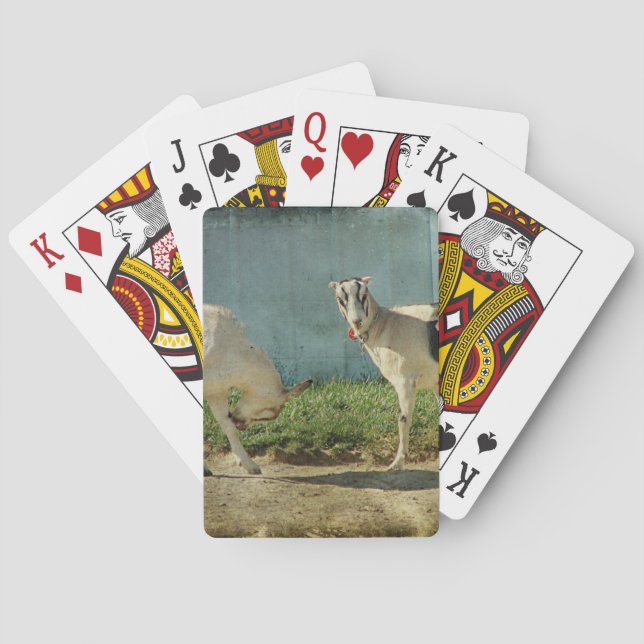 Dairy Goats Playing Cards (Back)