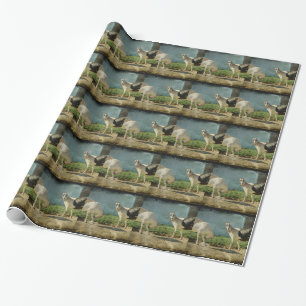 Dairy Goats Wrapping Paper
