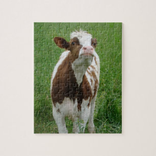 Dairy Milk Cow on the Farm Jigsaw Puzzle