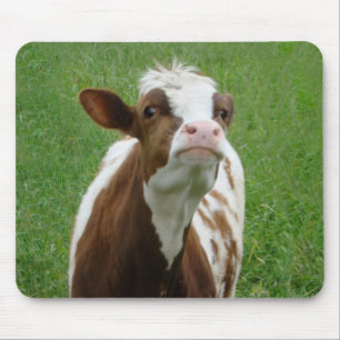 Dairy Milk Cow on the Farm Mouse Mat