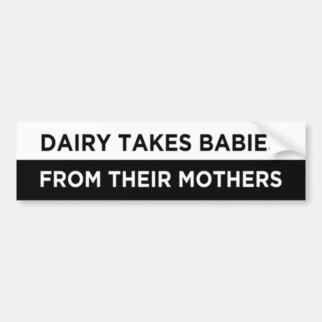 dairy takes babies from their mothers vegan bumper sticker (Front)