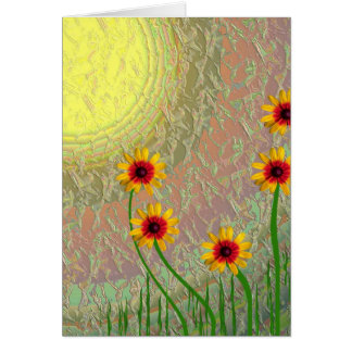 Daisies