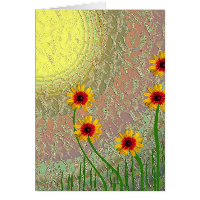 Daisies (Front)