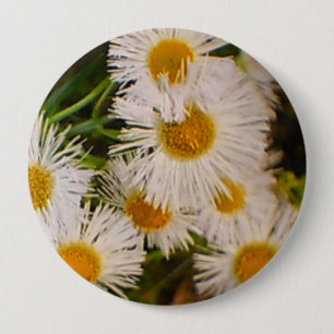 Daisies 10 Cm Round Badge